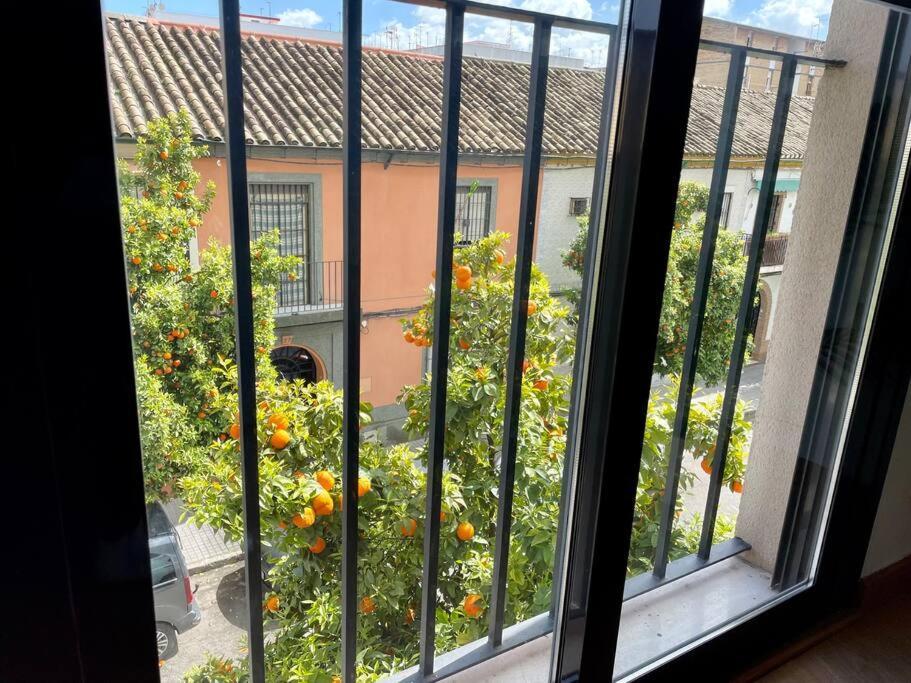 El Balcon De Los Naranjos Córdoba Exterior foto
